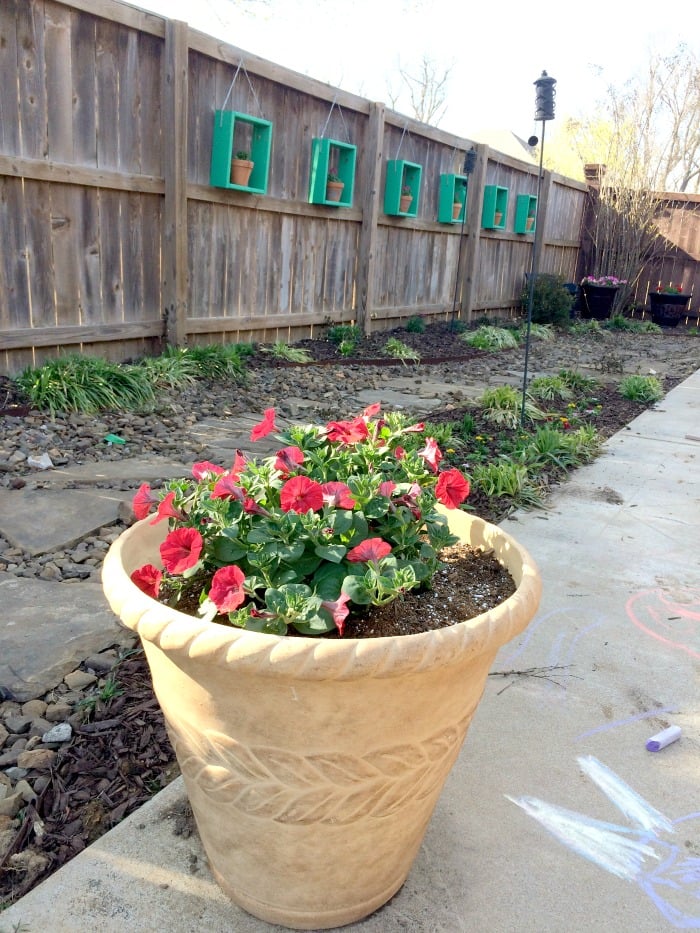 Flower Shadow Boxes for the Fence