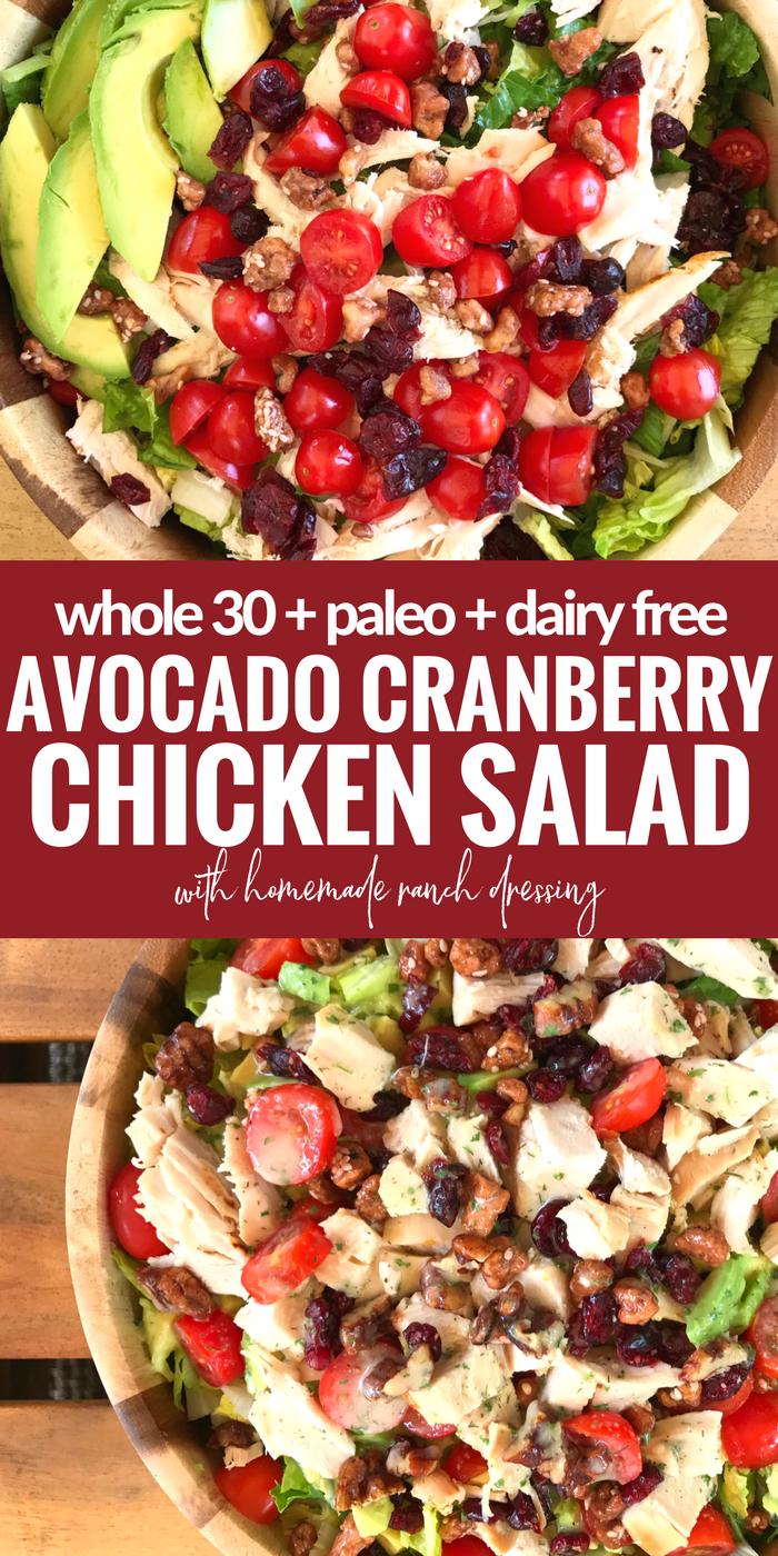 Avocado Cranberry Chicken Salad by The Whole Cook(1)