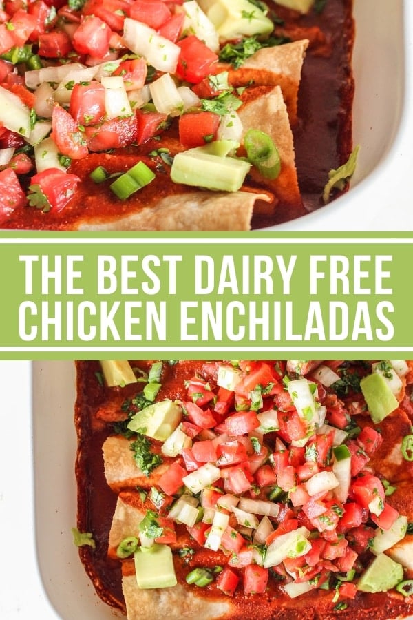 The Best Dairy Free Chicken Enchiladas The Whole Cook
