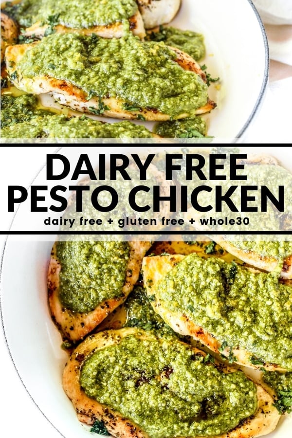 Dairy Free Pesto Chicken The Whole Cook