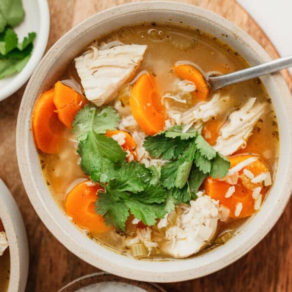 Chicken and Rice Soup - The Whole Cook