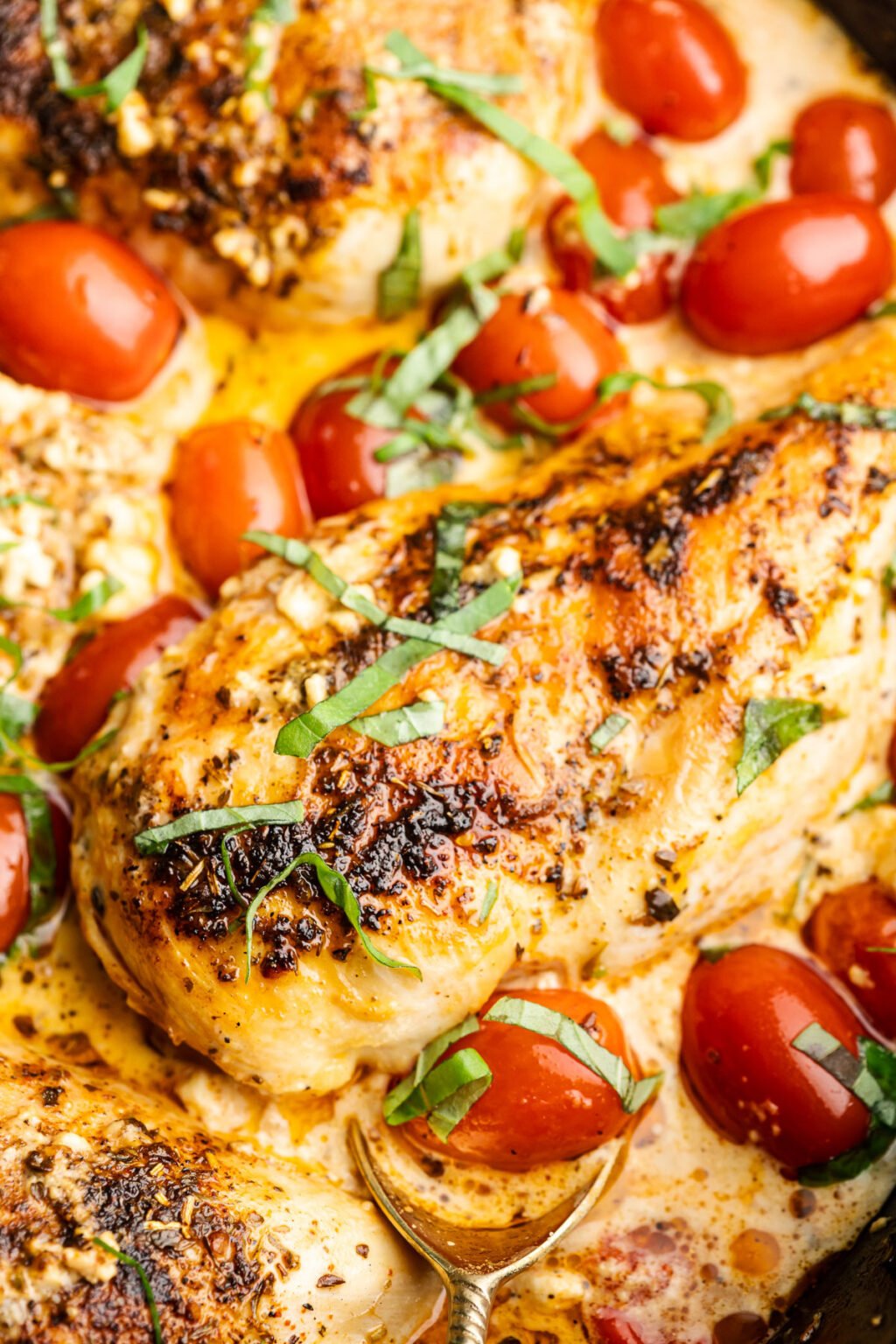 Baked Feta Chicken The Whole Cook 3307