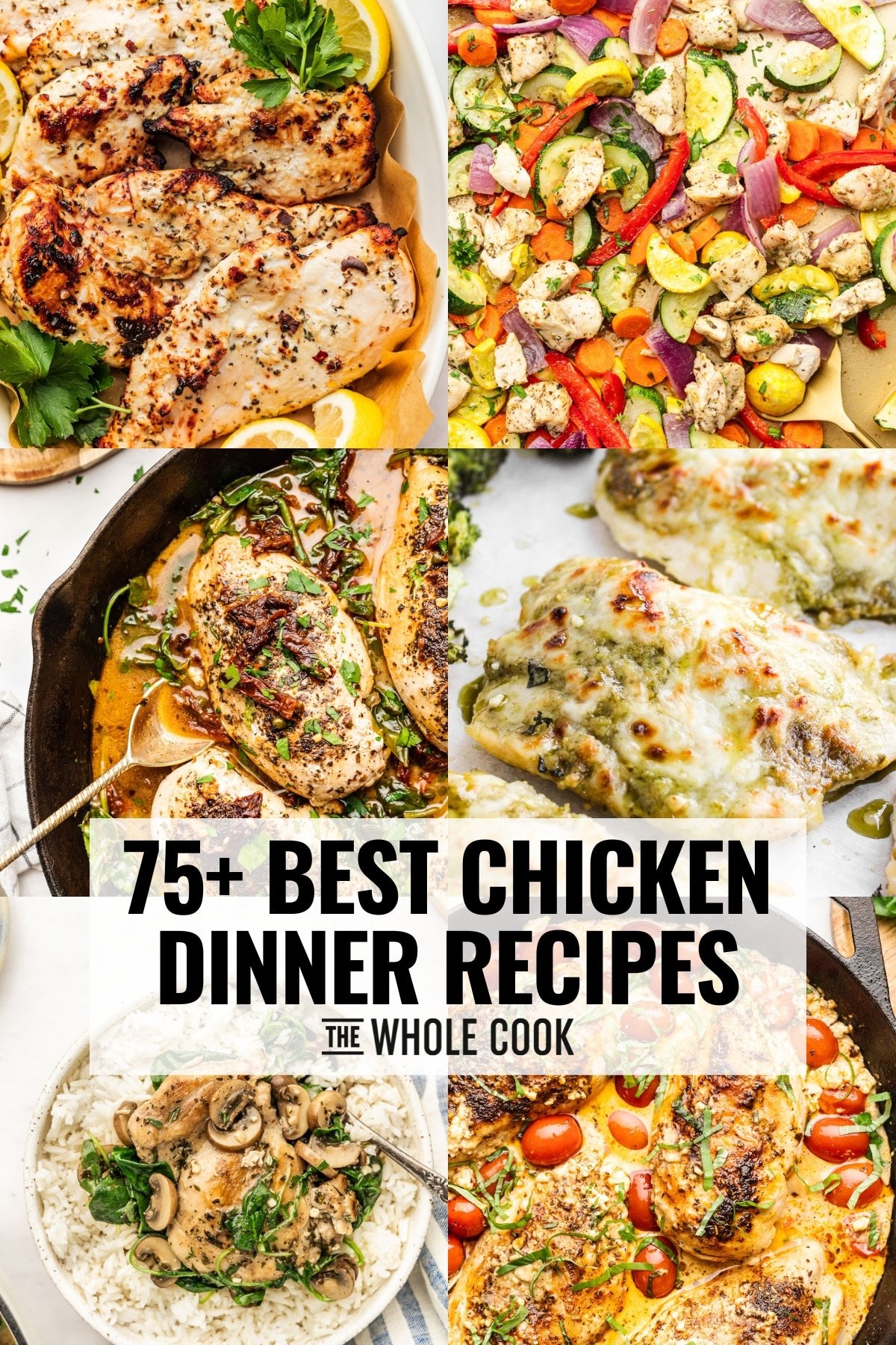 gourmet chicken recipes