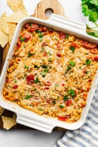 Dairy Free Green Chile Chicken Dip